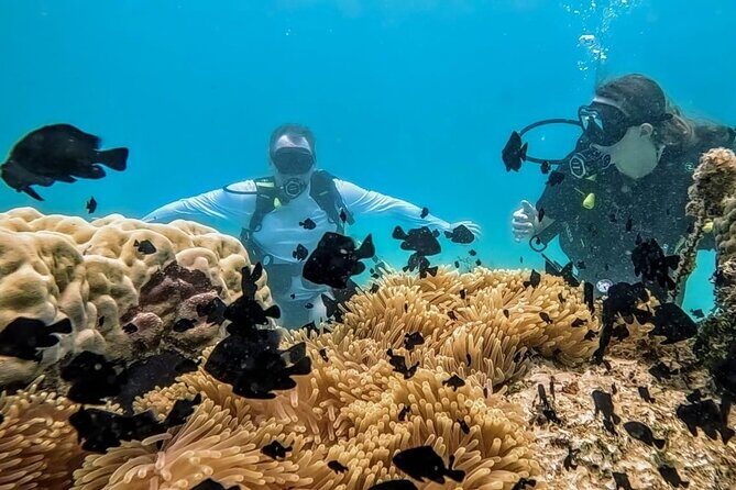Teahupo'o Jurassic Tour and Private Diving - An In-Depth Look at the Teahupo’o Jurassic Tour
