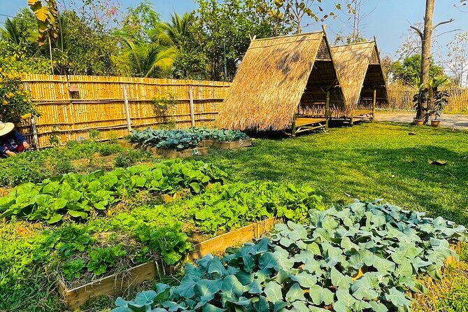 Team Aim Thai Cooking School (#1 Cooking Class in Chiang Mai) - FAQ