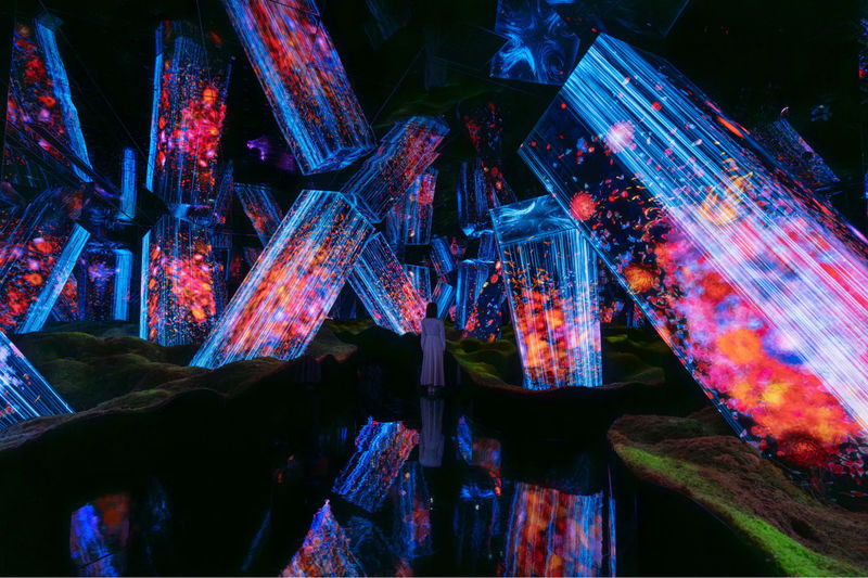teamLab Biovortex Kyoto ticket - Athletics Forest makes looking a full-body activity
