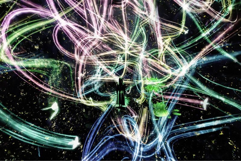 teamLab Biovortex Kyoto ticket - Look for the works beyond the interactive rooms