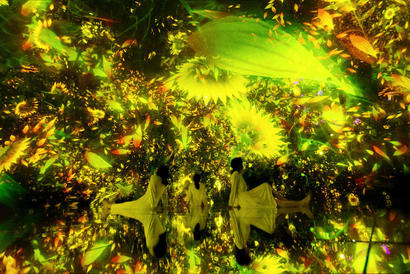 teamLab Biovortex Kyoto ticket - Ticket choices, timing and getting there