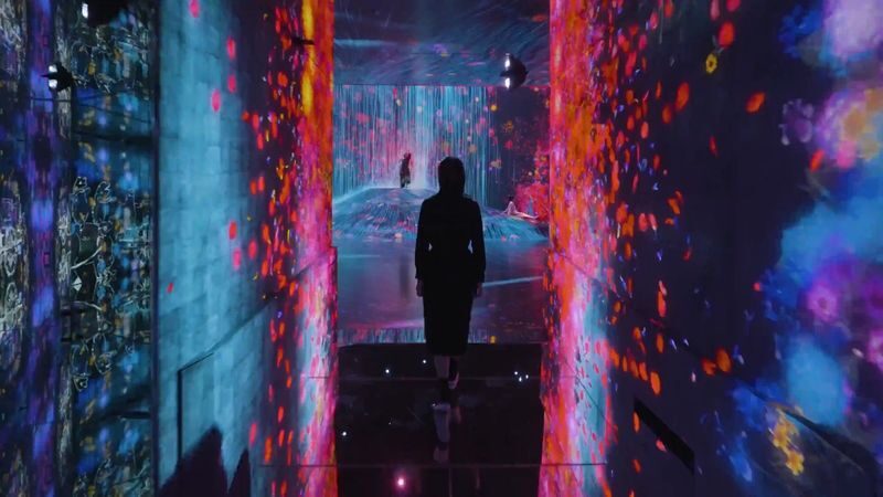 teamLab Borderless Tickets: MORI Building DIGITAL ART MUSEUM - A museum without a fixed route