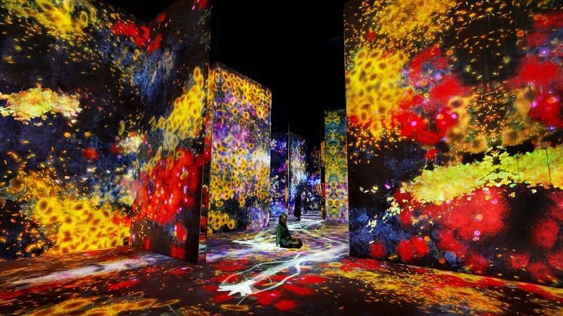 teamLab Borderless Tickets: MORI Building DIGITAL ART MUSEUM - What to bring, and what to leave behind