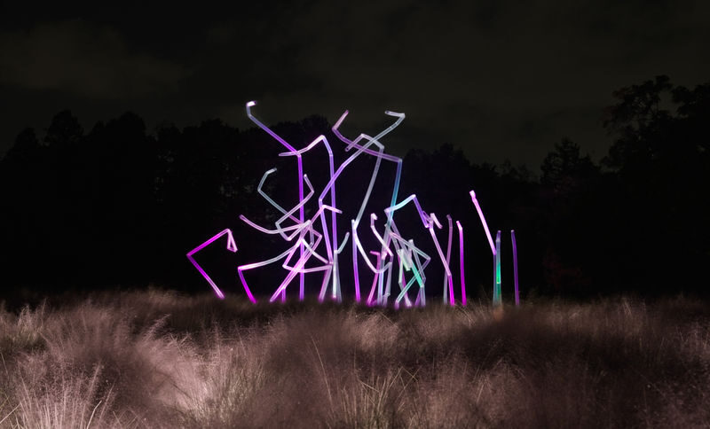 teamLab Botanical Garden Osaka Ticket - A night walk, not an indoor teamLab
