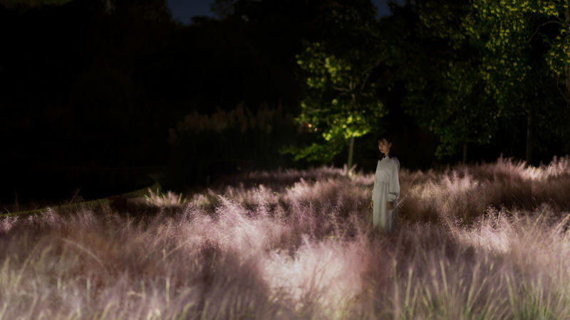 teamLab Botanical Garden Osaka Ticket - What you encounter along the garden route