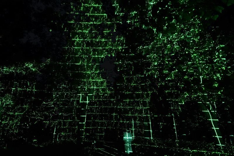 teamLab Botanical Garden Osaka Ticket - Practical details that can save a headache