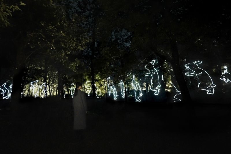 teamLab Botanical Garden Osaka Ticket - Who will enjoy this evening most?