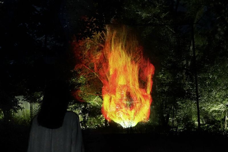 teamLab Botanical Garden Osaka Ticket - Should you book teamLab Botanical Garden Osaka?