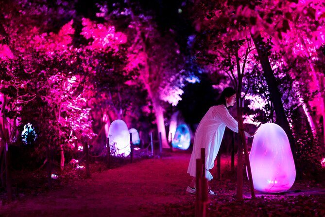 TeamLab Botanical Garden Osaka Ticket - Who Will Enjoy This Experience?