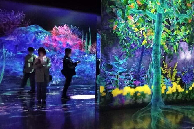 teamLab Forest Fukuoka an Immersive Art Experience Ticket - Experience the Future of Art at teamLab Forest Fukuoka