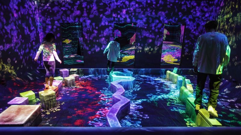 teamLab Forest Fukuoka Ticket - Who should book teamLab Forest Fukuoka?