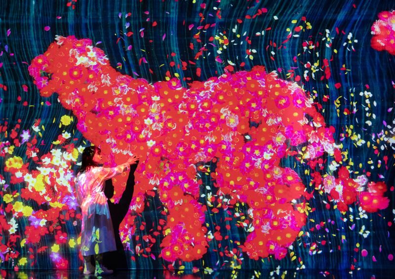 teamLab Future Park Okinawa - How long to allow, and what to expect from the size