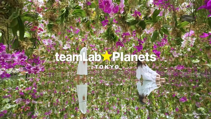 teamLab Planets TOKYO Ticket - At teamLab Planets, your body is part of the art