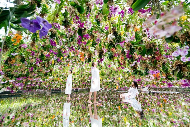 teamLab Planets TOKYO Ticket - From the Floating Flower Garden to a forest of light