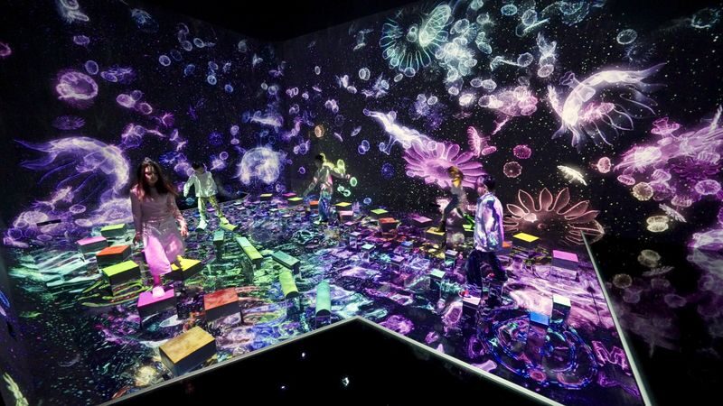 teamLab Planets TOKYO Ticket - Drawings that take flight and fire in a digital sky
