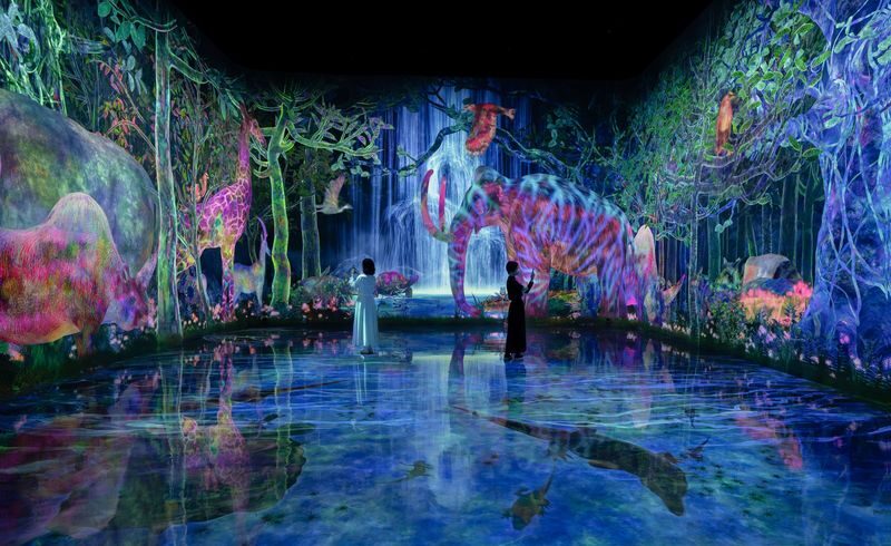 teamLab Planets TOKYO Ticket - What the ticket costs, and when Premium makes sense