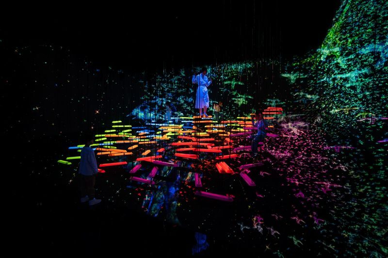 teamLab Planets TOKYO Ticket - Who will get the most from teamLab Planets