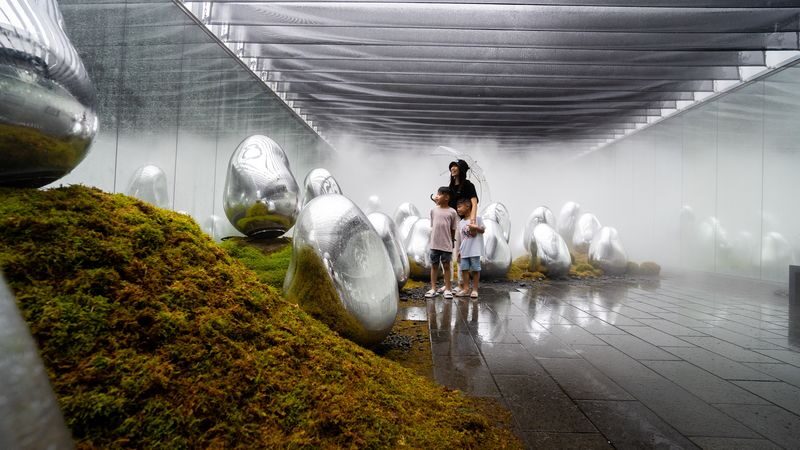 teamLab Planets TOKYO Ticket - Should you book teamLab Planets?