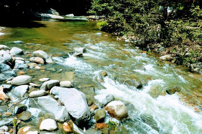 Tehuacalco Fascinating Archaeological Site Just 60 Minutes Away! - Final Thoughts: Who Will Love This Tour?