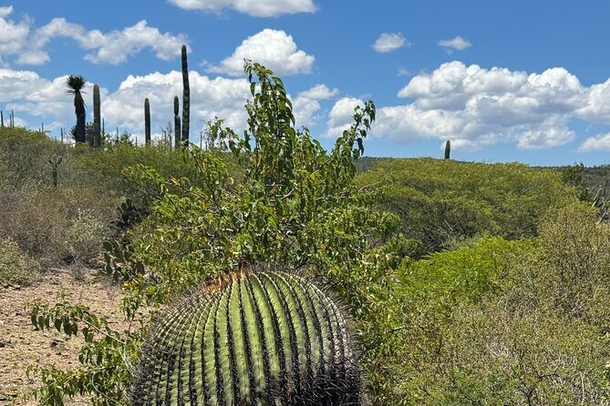 Tehucan Day Tour and Biosphere Reserve - Key Points
