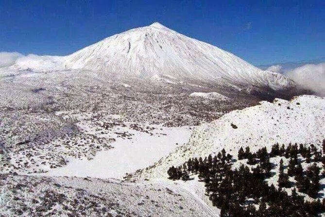 Teide 1/2 Day - An In-Depth Look at the Tour Experience