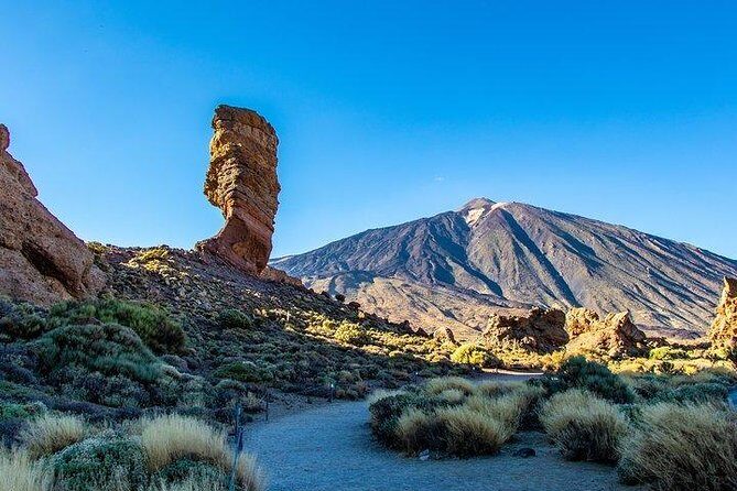 Teide-Icod-Garachico-Masca (Most popular bus tour in Tenerife) - A Deep Dive into the Tenerife Bus Tour Experience