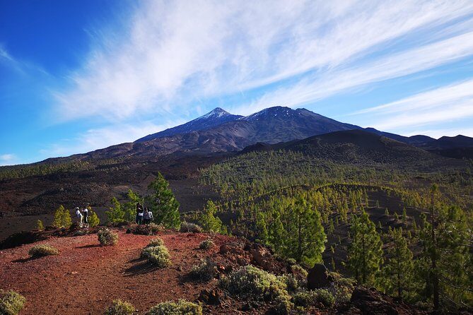 Teide National Park for smaller groups - Exploring Teide National Park in Small Groups: A Deep Dive