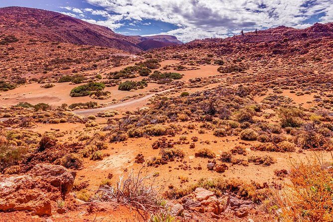 Teide National Park Half Day Tour with Hotel Pick up - A Closer Look at the Teide National Park Half Day Tour