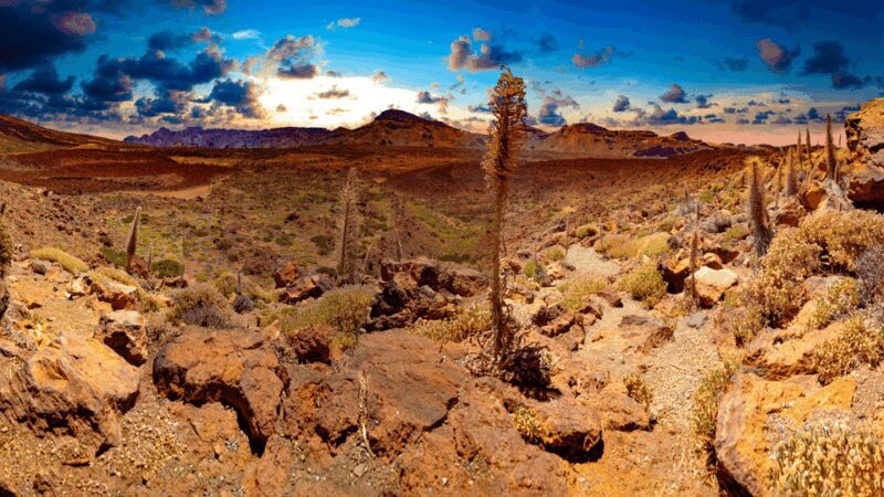 Teide National Park: Landscapes and Viewpoints Private Tour - Who Should Book This Tour?