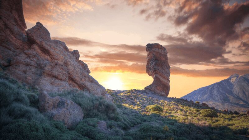Teide National Park: Landscapes and Viewpoints Private Tour - Final Thoughts