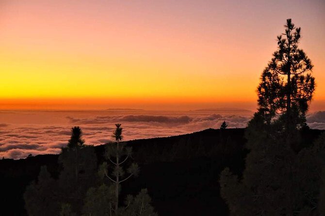 Teide National Park Sunset & Stargazing with Dinner (Star Safari) - Who Will Love This Tour?