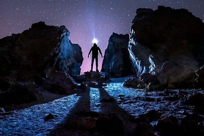 TEIDE NIGHT Astronomy Stargazing Bus Tour, Meal & Drinks included! - Key Points