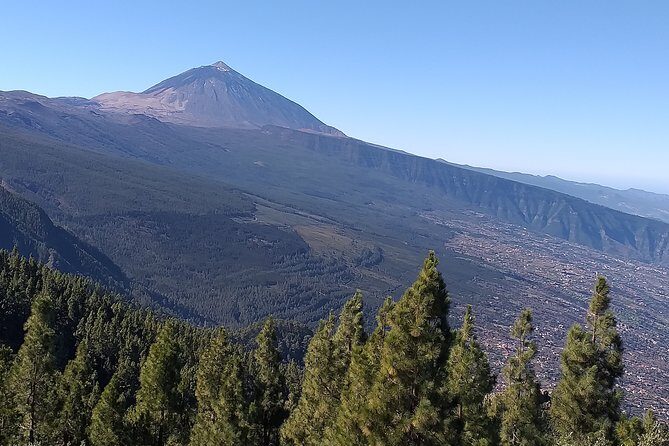 Teide Tenerife´s jewel - Exploring Teide: Tenerife’s Crown Jewel in a Small-Group Adventure