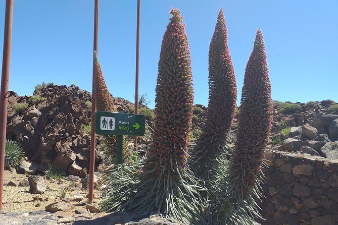Teide Tenerife´s jewel - Key Points