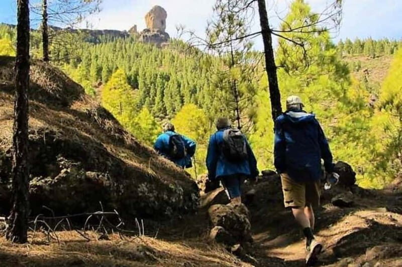 Tejeda: Roque Nublo Base Camp Xperience: Hike, Picnic & More - The Sum Up