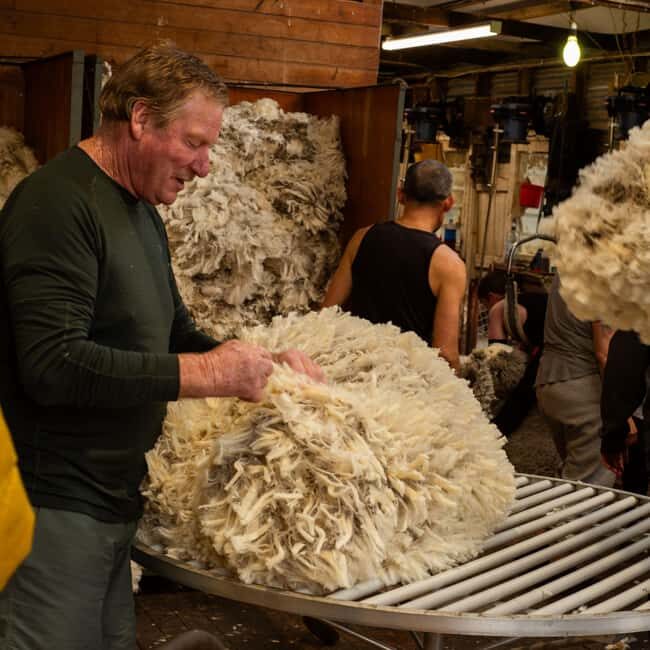 Tekapo: Merino Sheep Shearing and Sheepdog Demonstration - Practical Details: What to Know Before You Go