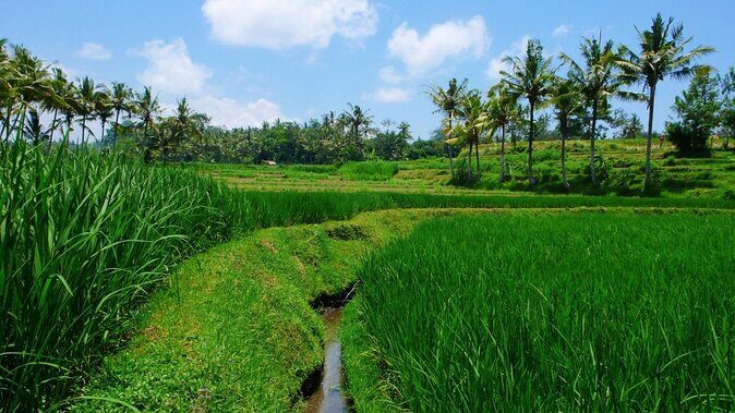 Telaga Waja Rafting and Bali Horse Riding Packages - Key Points