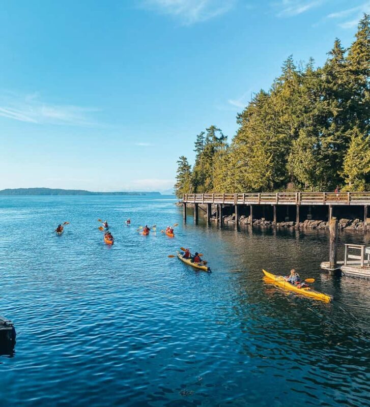 Telegraph Cove: 2-Hour Day or Evening Kayaking Tour - Telegraph Cove: 2-Hour Day or Evening Kayaking Tour