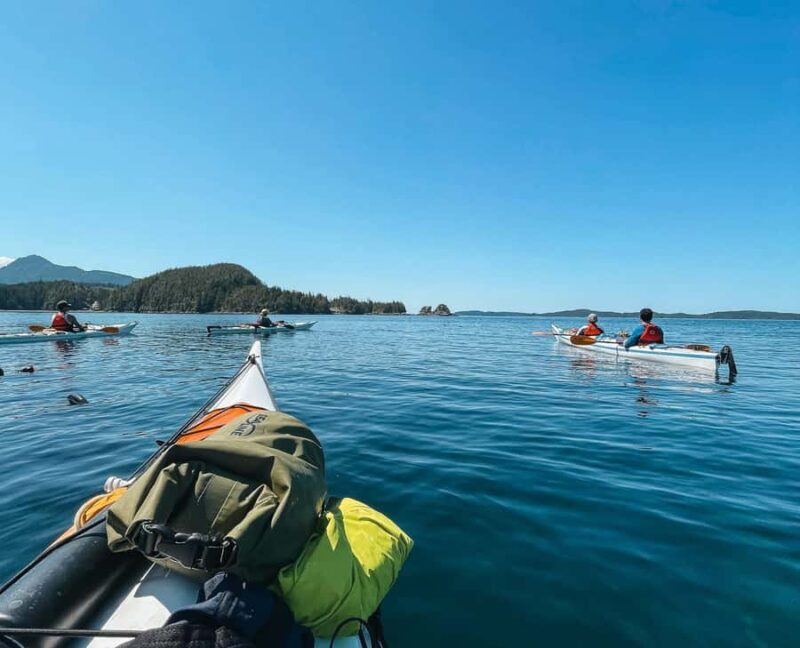 Telegraph Cove: 2-Hour Day or Evening Kayaking Tour - Key Points