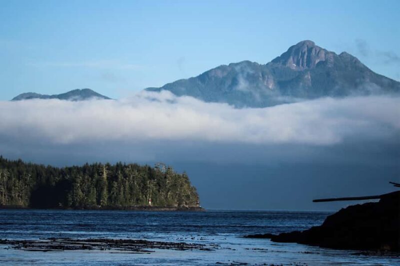 Telegraph Cove: 2-Hour Day or Evening Kayaking Tour - FAQs