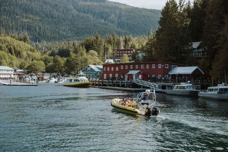 Telegraph Cove: 3-Hour Whale Watching Tour in a Zodiac Boat - Exploring the Experience in Detail