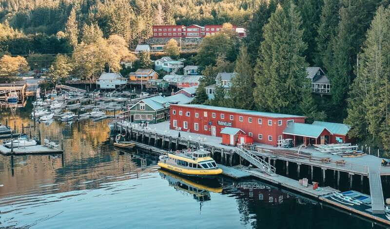 Telegraph Cove: 3-Hour Whale Watching Tour in a Zodiac Boat - Who Will Love This Tour?
