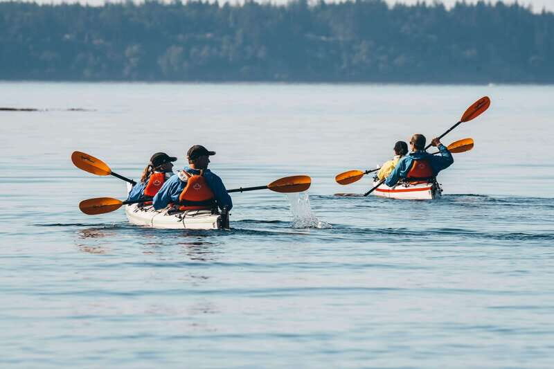 Telegraph Cove: Day Trip Kayaking Tour - Who Is This Tour Best For?