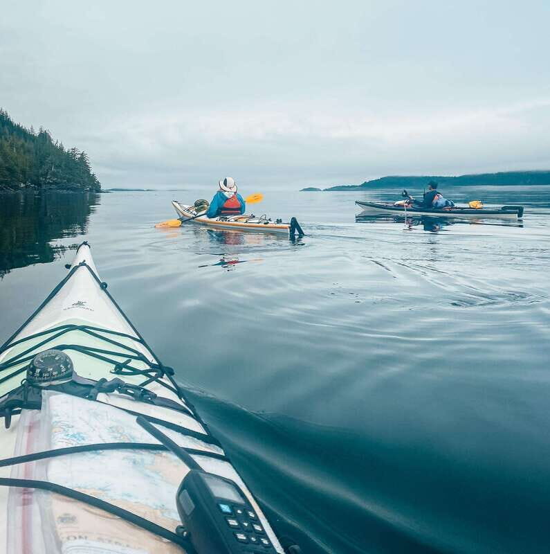 Telegraph Cove: Day Trip Kayaking Tour - Final Thoughts