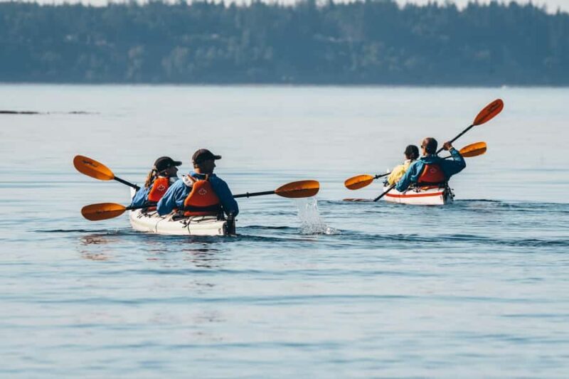 Telegraph Cove: Full-Day Trip Kayaking Tour - Exploring the Full-Day Kayaking Experience