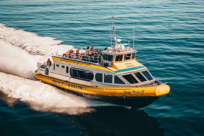 Telegraph Cove: Whale Watching Adventure with Free Photos - Telegraph Cove: Whale Watching Adventure with Free Photos