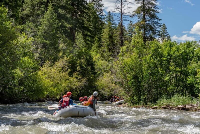 Telluride 1 Day Rafting Trip with Lunch - San Miguel River - An Authentic Day on the San Miguel River