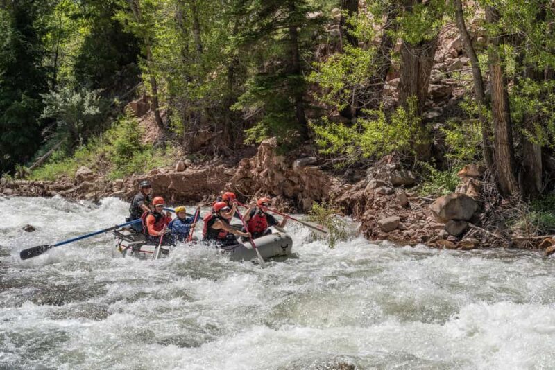Telluride 1 Day Rafting Trip with Lunch - San Miguel River - What Travelers Say: Authentic Feedback