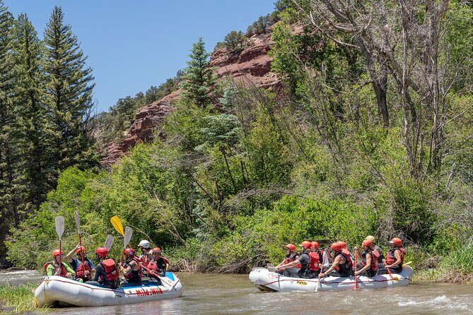 Telluride Afternoon Half Day Rafting Trip - San Miguel River - A Scenic Splash in Colorado: The Telluride Afternoon Half Day Rafting Trip on the San Miguel River