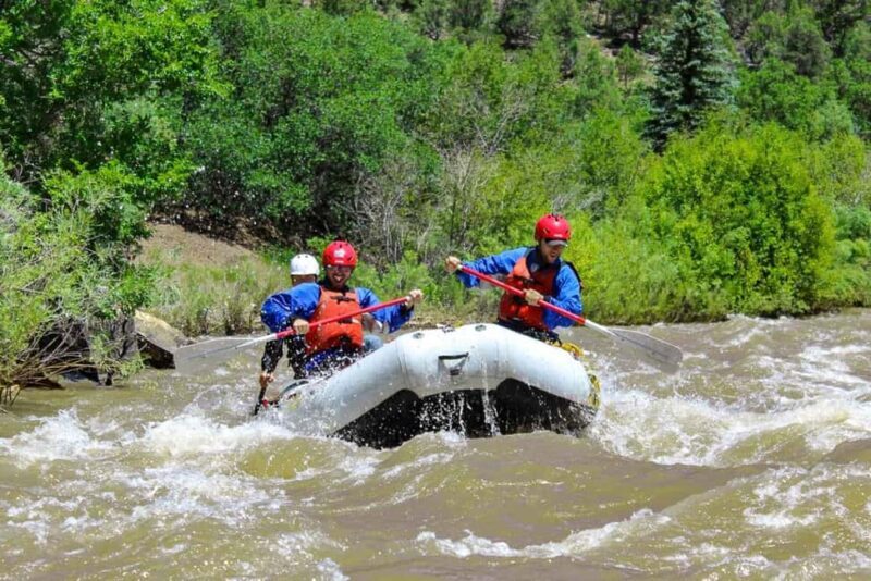 Telluride Afternoon Half Day Rafting Trip - San Miguel River - The Rapids and Paddling Experience
